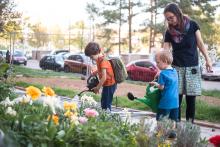 Co sis zasil, to si taky zalívej