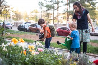 Co sis zasil, to si taky zalívej
