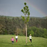 Našli ten poklad, nebo nenašli?