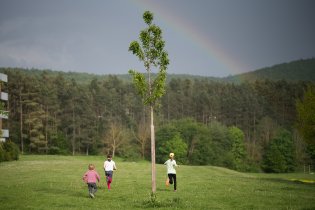 Našli ten poklad, nebo nenašli?