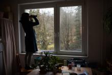 Ptačí hodinka z důvodu nachlazení tentokrát opět skrze okno