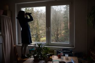 Ptačí hodinka z důvodu nachlazení tentokrát opět skrze okno