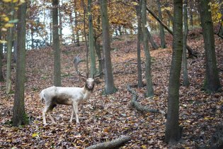 Frajer, který to o sobě nejspíš ví, když tak pěkně pózuje