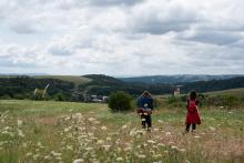 (Krásné) louky nad Lukavcem. V pozadí Fulnek a jeho nepředhlédnutelný zámek