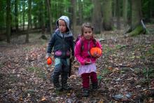 Někdo sbírá houby, jiný zas asfaltové holuby