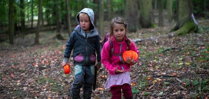 2. víkend v říjnu 2024