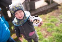 Sázet jarní osení, to farňata ocení