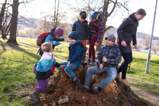 Tento pařez přitahuje děti všech věkových kategorií