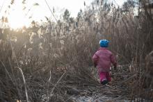 Viki, myslíš, že z té džungle najdeš cestu zpátky?