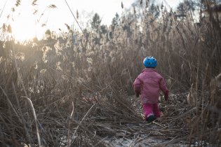 Viki, myslíš, že z té džungle najdeš cestu zpátky?