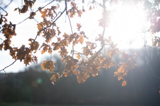 Tom už dokázal vyrazit procházku - ke hřišti a zpátky!