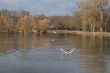 Zkoušíme, jestli je rybník Srpek vhodný k otužovacím účelům - celkem ano, ale Svratka v Jundrově je Svratka v Jundrově :)