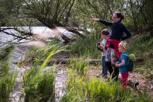 Ornitologické okénko v ptačím parku Kosteliska