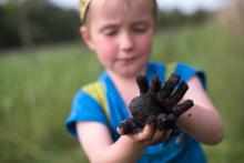 Viki otestoval kvalitu místní hlíny (nejspíš černozem)