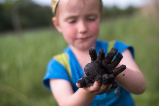 Viki otestoval kvalitu místní hlíny (nejspíš černozem)