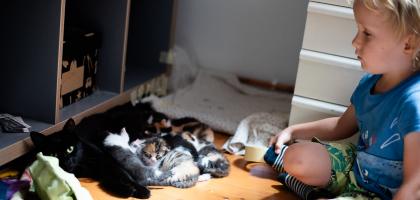 4. víkend v srpnu 2024