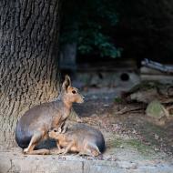 Mařátko. Nebo maře?