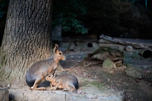 Mařátko. Nebo maře?