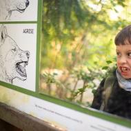 Který výraz se Ti, Ráďo, bude napodobovat nejsnadněji?