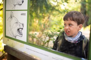 Který výraz se Ti, Ráďo, bude napodobovat nejsnadněji?