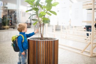 Není zeleň jako zeleň