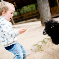 Co si asi povídají?