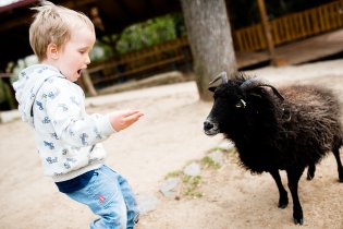 Co si asi povídají?