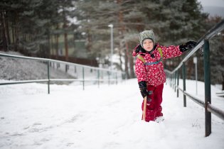 Cestáři ještě nevyjeli, tak se Viki rozhodl, že to vezme za ně