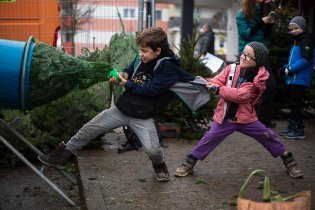 Kluci, dejte si pozor, víte přece, jak to dopadlo s dědkem a řepou