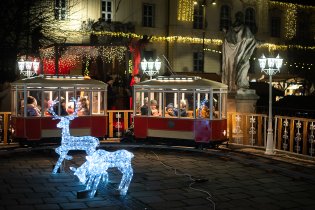 Z jízdy vánoční šalinou byl Viki nadšen