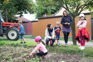 A takhle, milé městské děti, rostou brambory