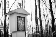 Sedmiradostná cesta Lelekovice-Vranov (jen jsme ji vzali druhým směrem)