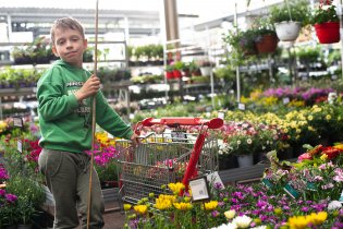 Koukněte, jak nám hezky rozkvetl!