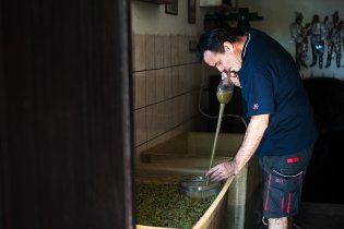 Vinobraní - prý ať rychle ochutnáme, co jsme si nasbírali - než to začne kvasit