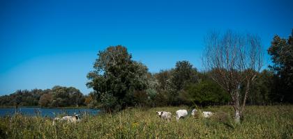 3. víkend v září 2025