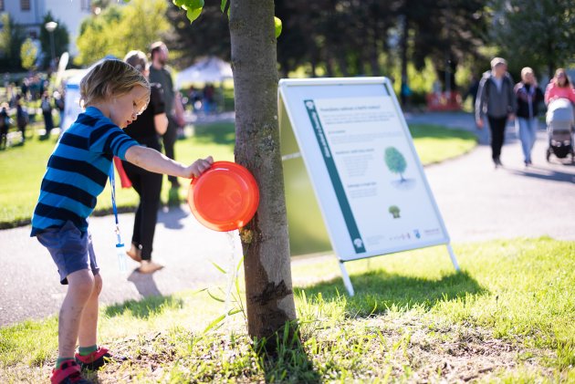 Aby i stromy z toho Dne Země něco měly