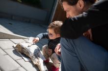 Zkušeně, nejspíš bude po tatínkovi