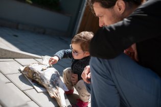 Zkušeně, nejspíš bude po tatínkovi