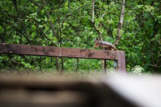 V dirt parku je živo!