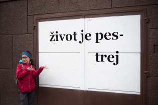 A cestou domů z kočičí kavárny...