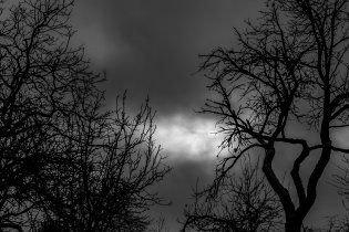 Mezitím na Vranově - meditativní chvilka v klášterní zahradě