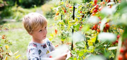 5. víkend v srpnu 2025