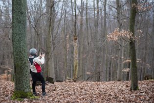 Cestou do Kohoutovic fotíme krásu bukového lesa