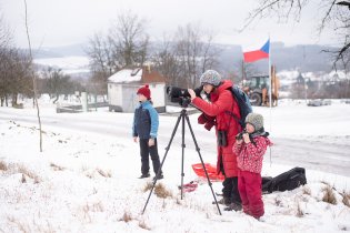 V Synalově máme náš oblíbený ptačí strom