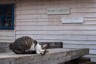 A jedna úžasně pózující modelka