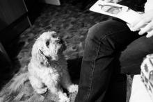 Kubíček už si rozbalil své dva dárky, ale očividně mu to nestačilo