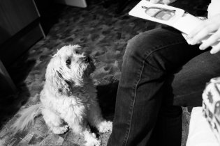 Kubíček už si rozbalil své dva dárky, ale očividně mu to nestačilo