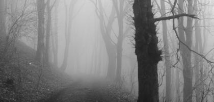 Z Mikulova na Vlčí kámen a zase zpátky, 28.12.2013